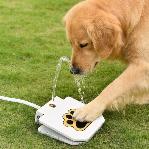 Pet Tread Drinking Fountain, stainless steel construction for long-lasting durability