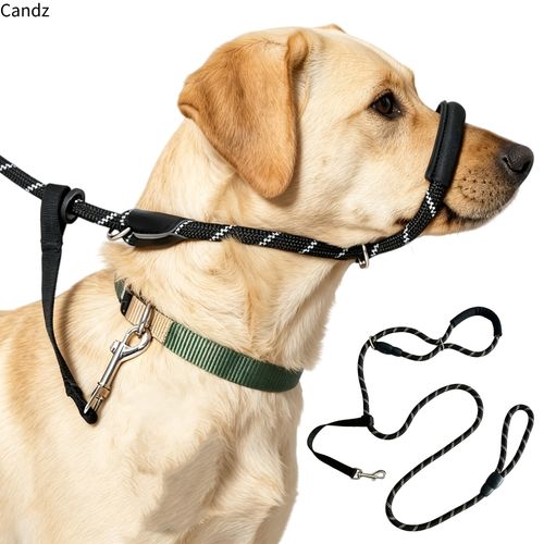 8-Shaped Dog Leash - Dog Anti‑Pull Leash