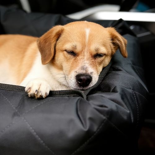 Car Pet Bed