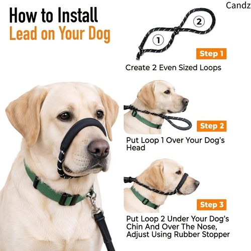 Dog Anti‑Pull Leash