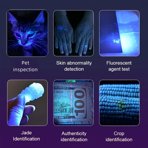 UV Blacklight Lamp