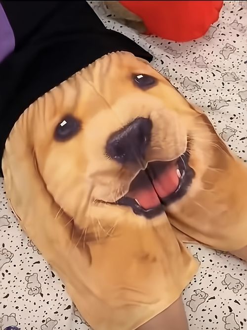 Golden Retriever Dog Head Shorts