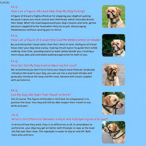 Dog Anti‑Pull Leash