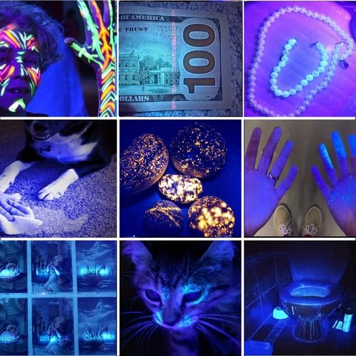 UV Blacklight Lamp