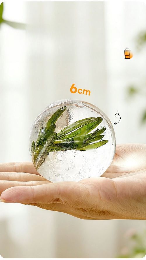 Portable Foldable Ice Ball Cup