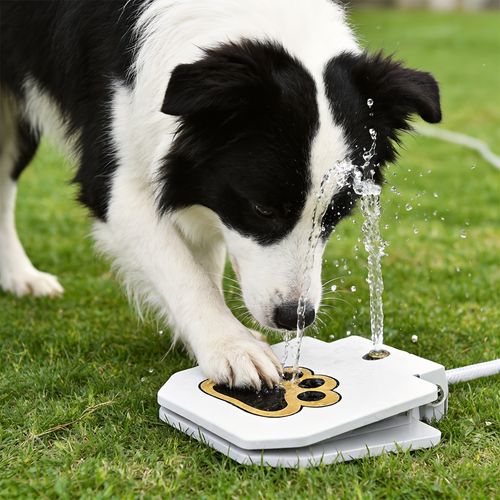 Pet Tread Drinking Fountain