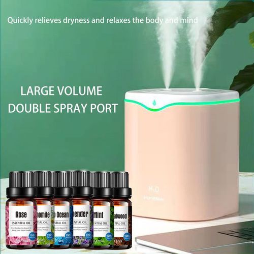 2L Double Spray Humidifier