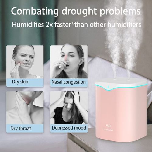 2L Double Spray Humidifier