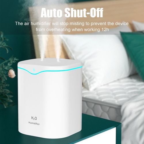 2L Double Spray Humidifier