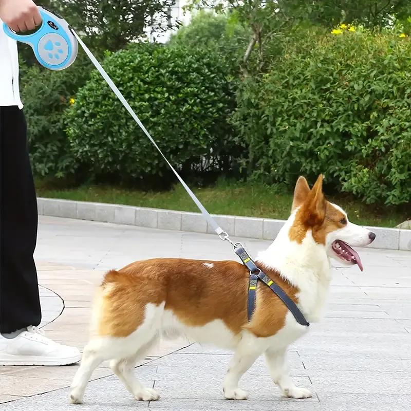 Dog walking retractable leash