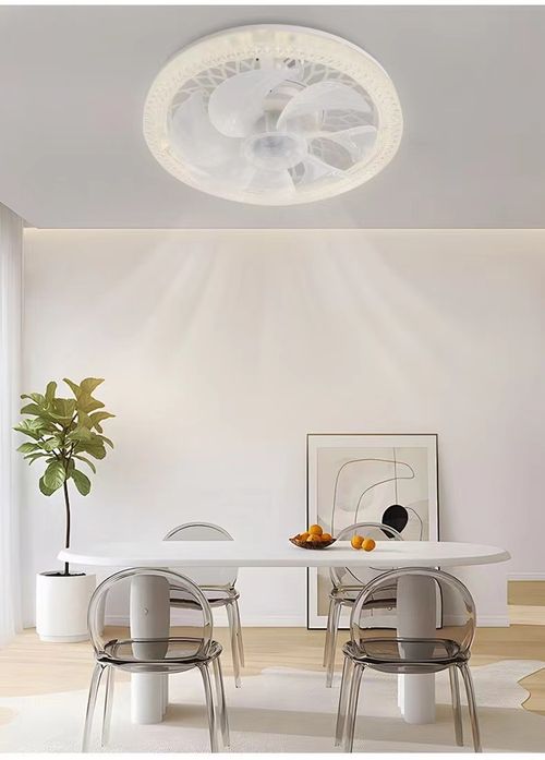 2-in-1 Mute Adjustable Fan Light with Remote Control