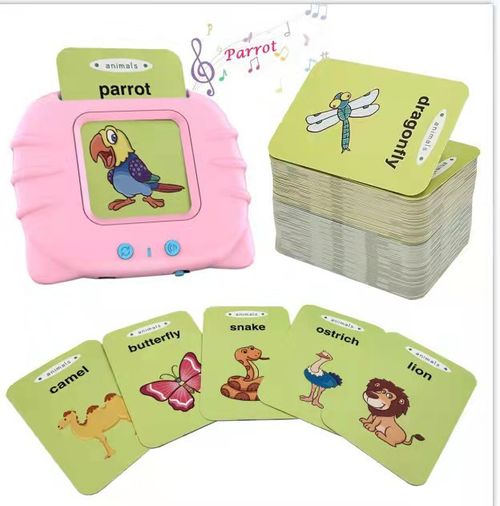 (🎁2024 Hot Sale🎁 )KID Learning Pocket Vocab SALE