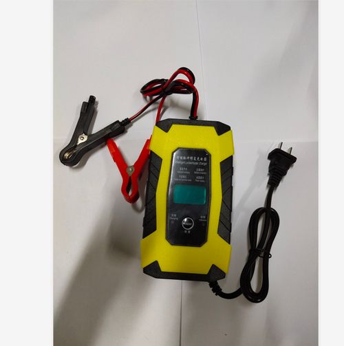 12v Intelligent Pulse Repair Charger