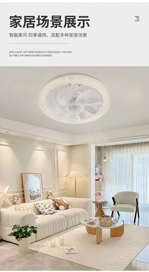 2-in-1 Mute Adjustable Fan Light with Remote Control
