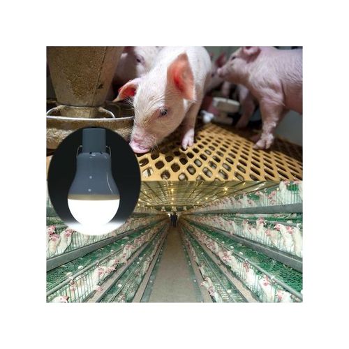 Portable Solar Light Bulb With Solar Panel Rechargeable