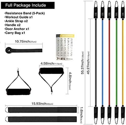 N3 FitHomie Resistance Bands Set 11pcs