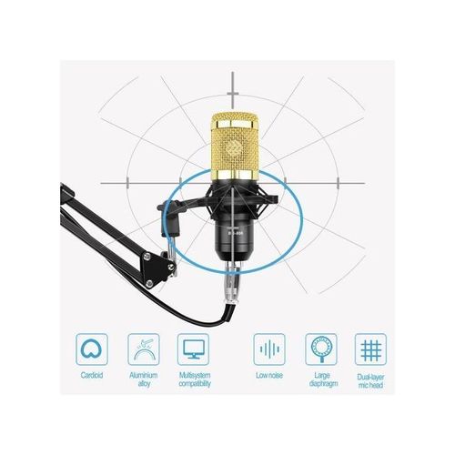 Microphone With V8 Sound Card BM800 Kit, Condenser Support