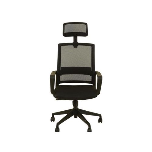 Lifemate Executive Ergonomic Mesh Office Chair~BP816