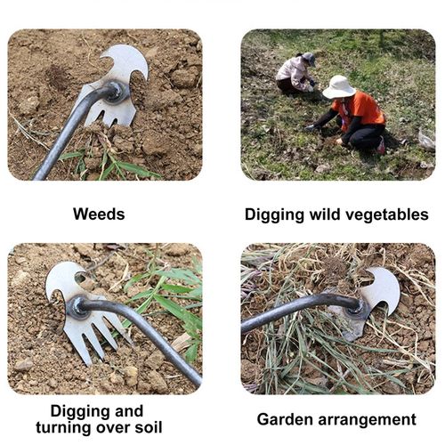 Hand Weeder Tool Kenya Heavy Duty Garden Weed Remover Steel Tool for Farm and Home Use