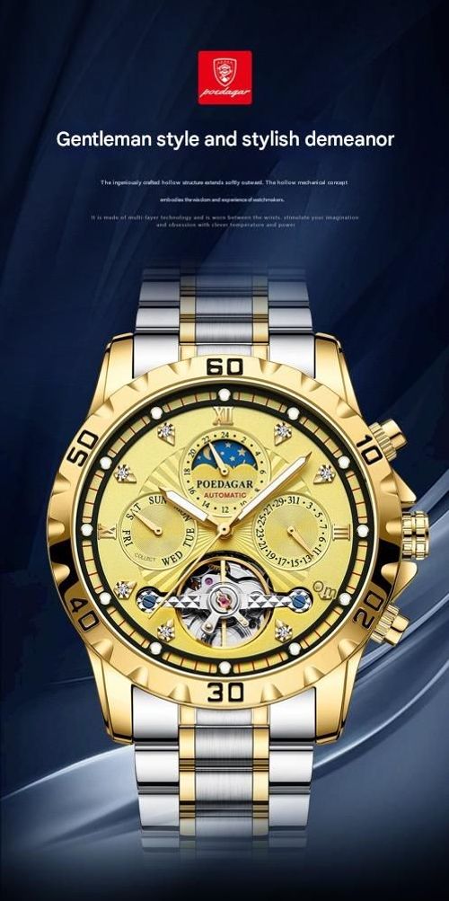 POEDAGAR Men's Mechanical Watch Waterproof Luxury Luminous Multifunctional Men's Watch