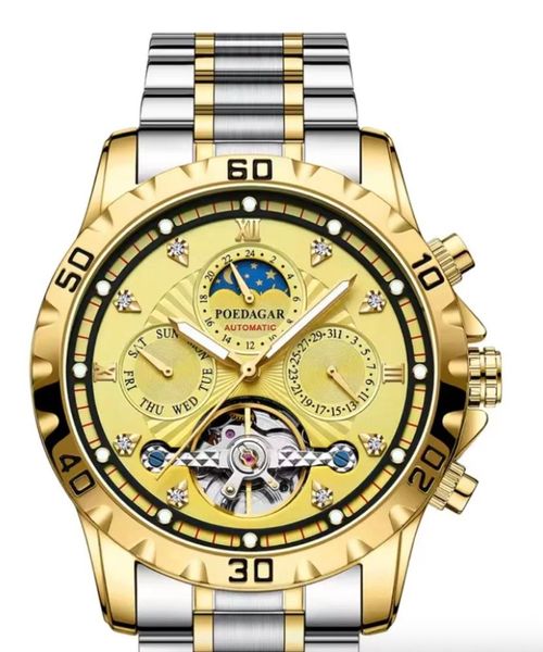 POEDAGAR Men's Mechanical Watch Waterproof Luxury Luminous Multifunctional Men's Watch