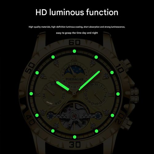 POEDAGAR Men's Mechanical Watch Waterproof Luxury Luminous Multifunctional Men's Watch