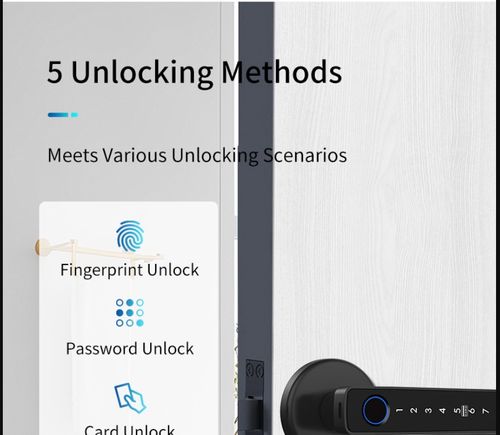 Fingerprint Door Lock,Smart Door knob,biometric Door Lock,with passcode keypad keyless Entry Door Handle (Black)