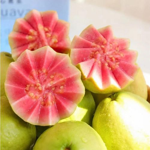 Guava Seeds
