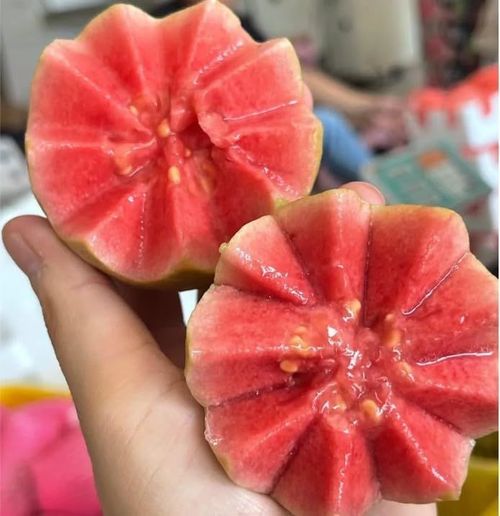 Guava Seeds