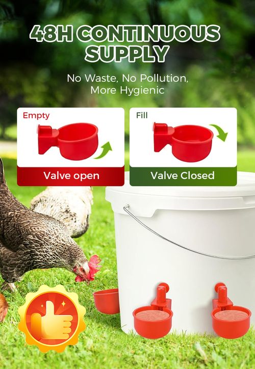 Poultry Water Cups