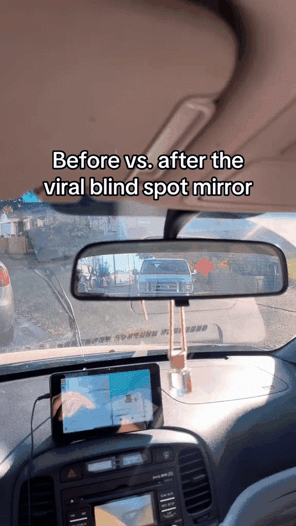 Panoramic Convex Mirror