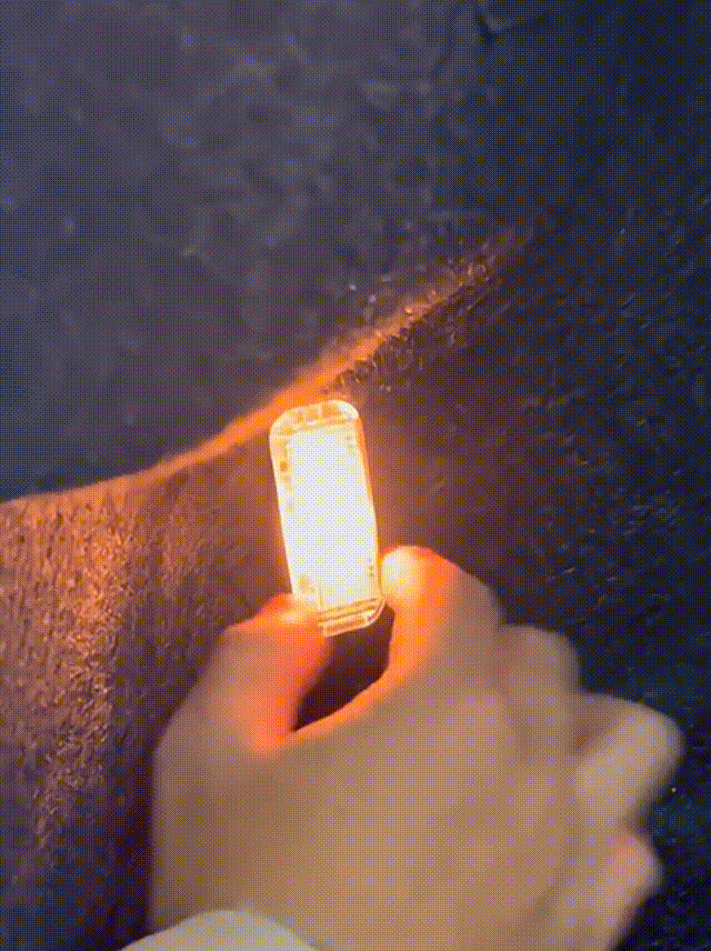 trunk light stripes