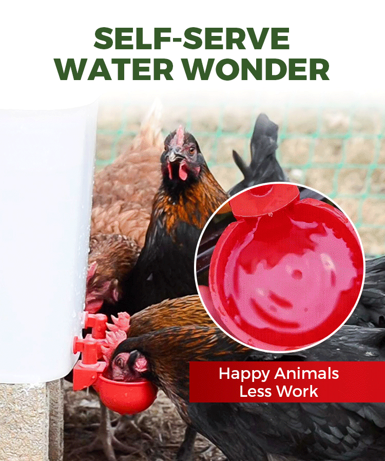 Poultry Water Cups