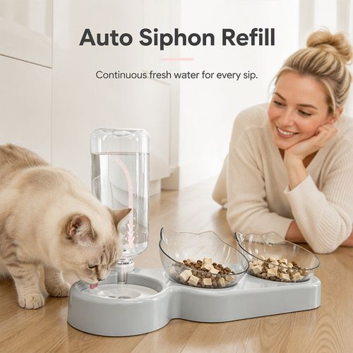 Pet Bowl