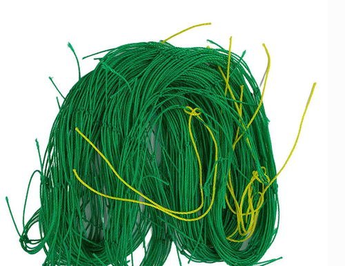 Netting Pflanze Kletternetz