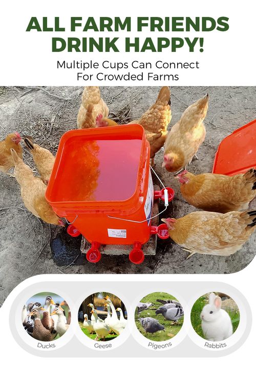 Poultry Water Cups