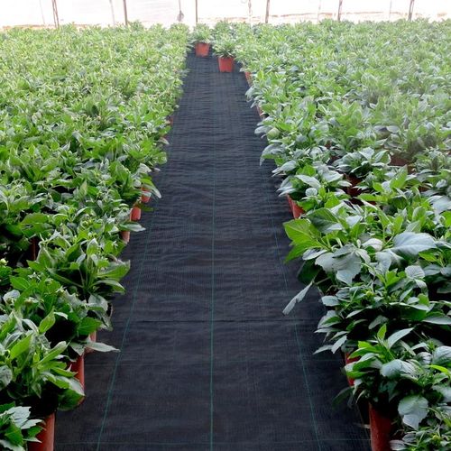 Woven Weed Barrier