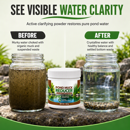 Pond Water Clarifier