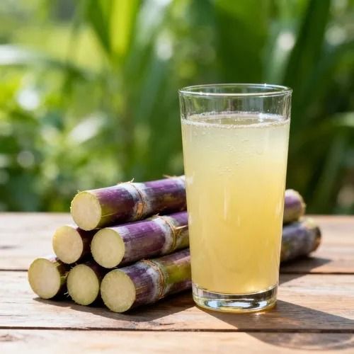 Sugarcane Seeds