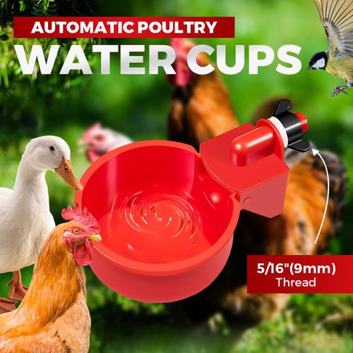 Poultry Water Cups
