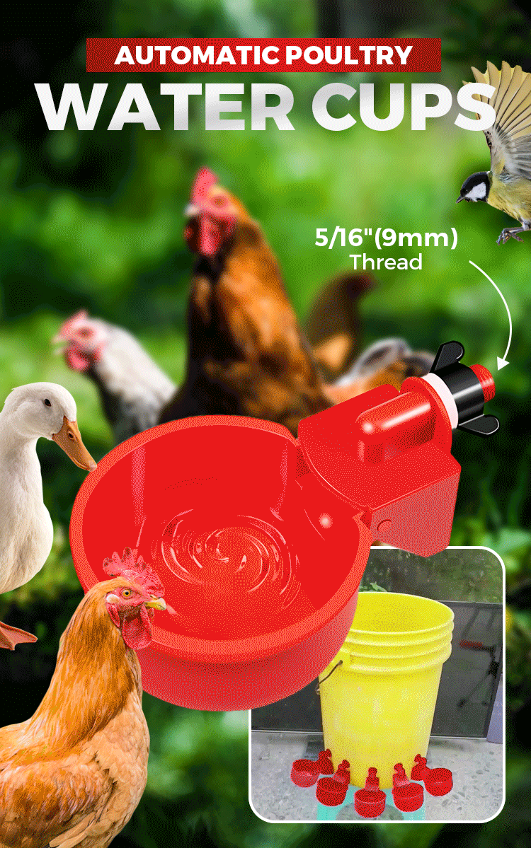 Poultry Water Cups