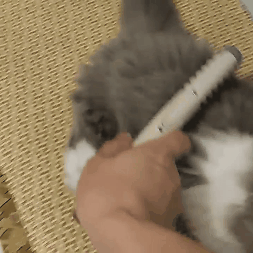 🎁 49% OF🔥🔥-ELECTRIC DOG CAT COMB HAIR TRIMMING GROOMING