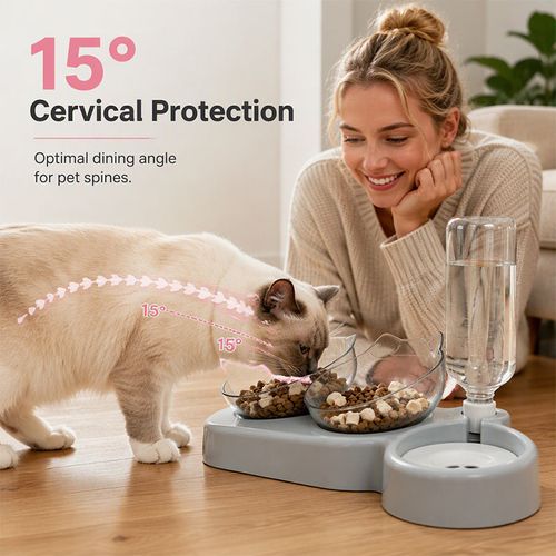 Pet Bowl
