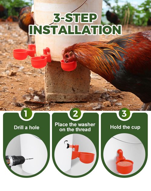 Poultry Water Cups
