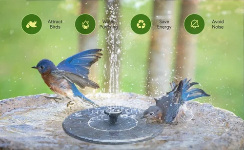 Solar Fountain