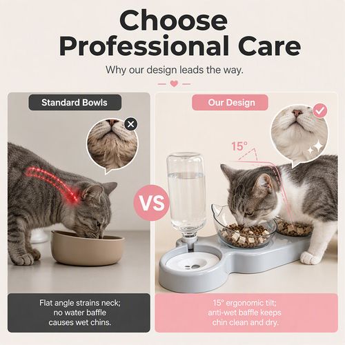 Pet Bowl