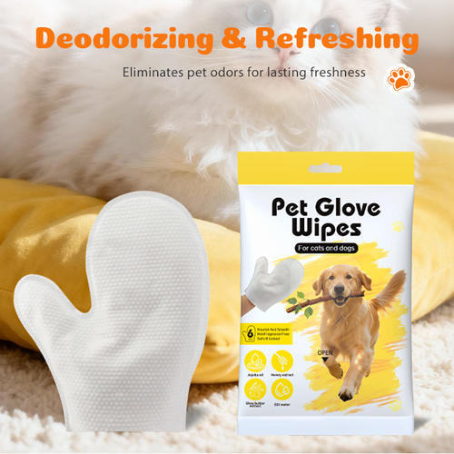Glove Wipes