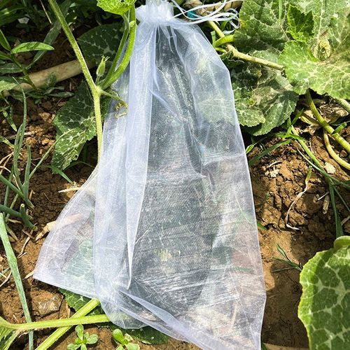 Protective Mesh Cover