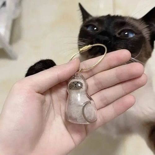 My Pet Keychain