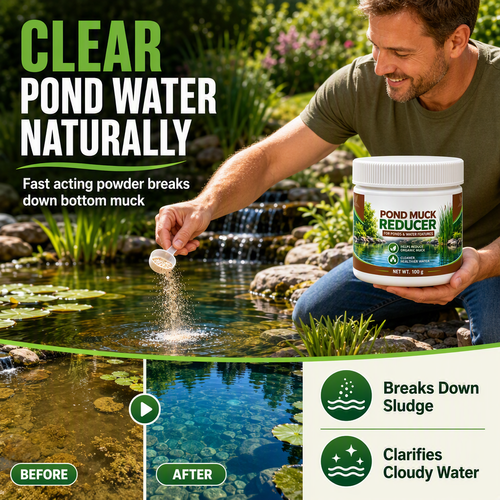 Pond Water Clarifier